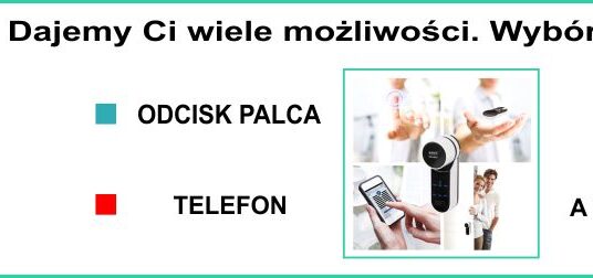Jaki elektroniczny zamek do drzwi wybrać?